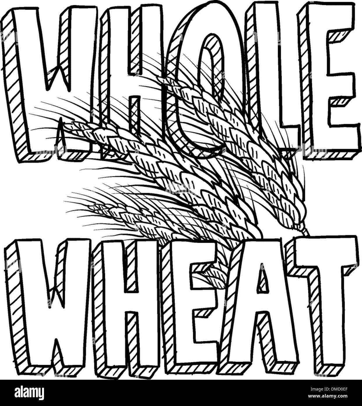 Whole wheat food sketch Stock Vector