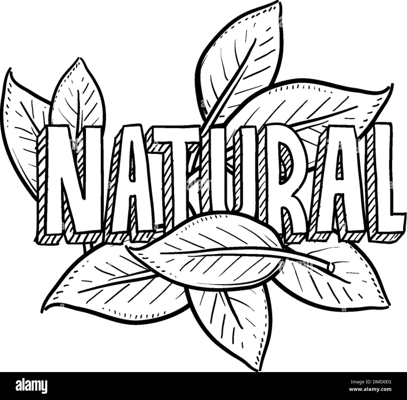 Natural food sketch Stock Vector
