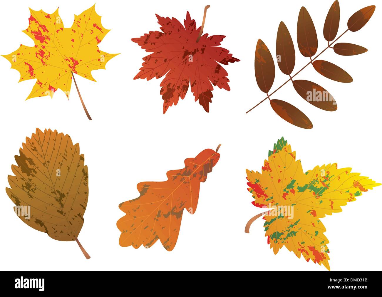 vector fall leaves Stock Vector Image & Art - Alamy