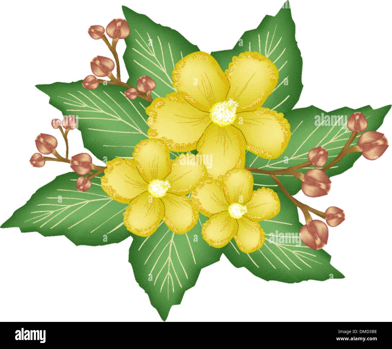A Group of Fresh Yellow Simpor Flowers Stock Vector