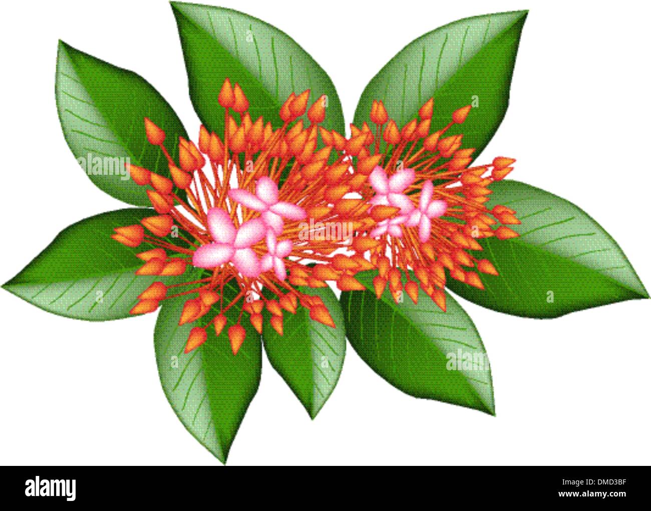 A group of flower Stock Vector Images Alamy