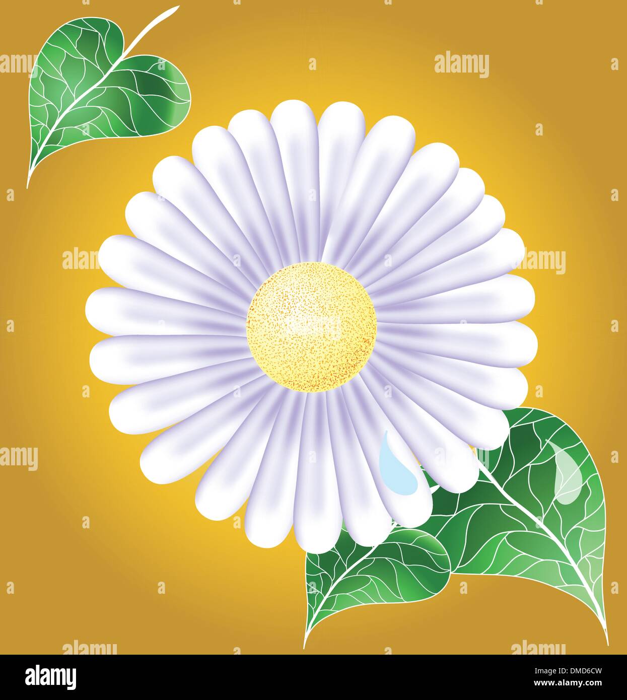 Green backgrond with white camomile Stock Vector