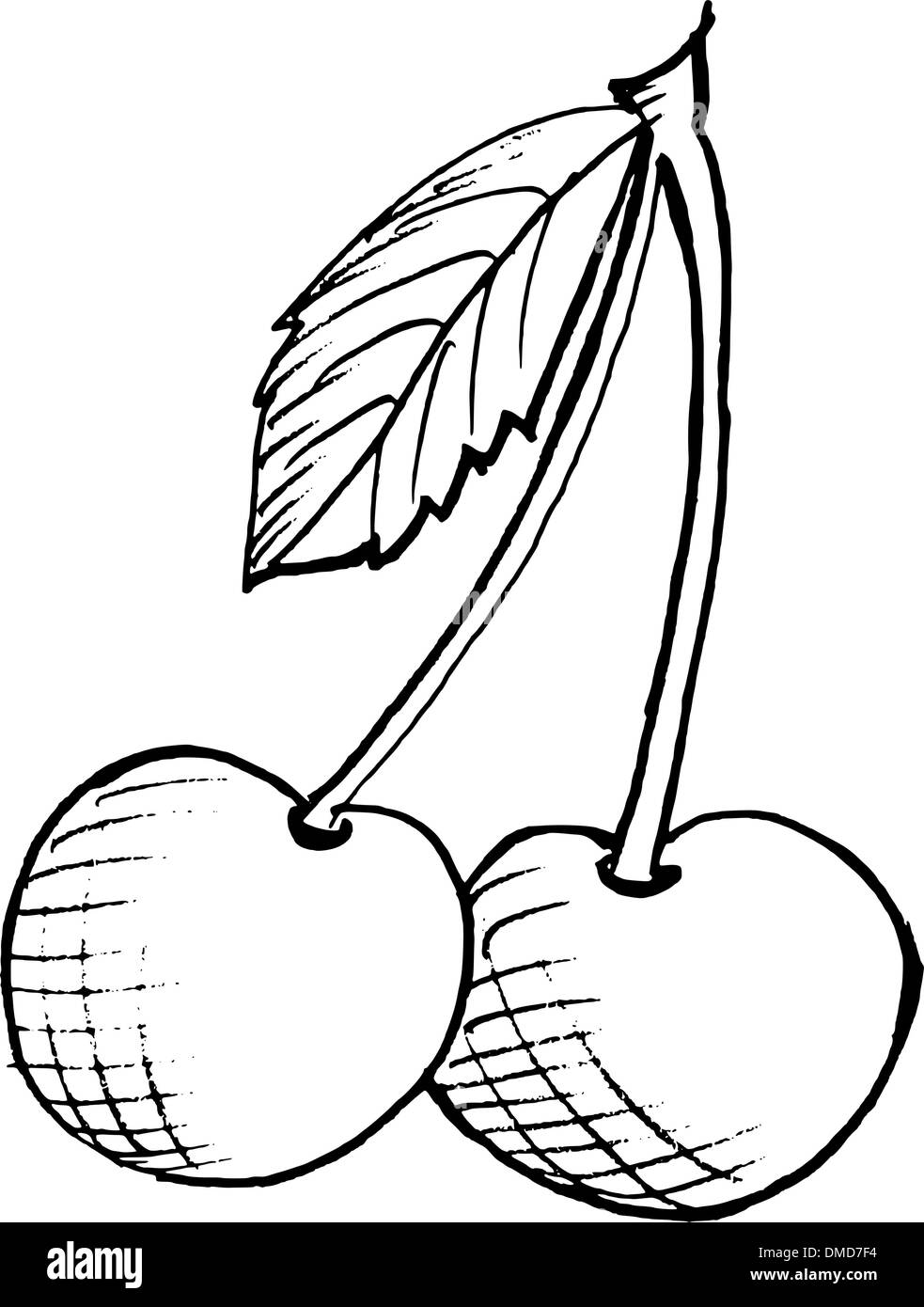 Fresh ripe cherry cherries Black and White Stock Photos & Images - Alamy