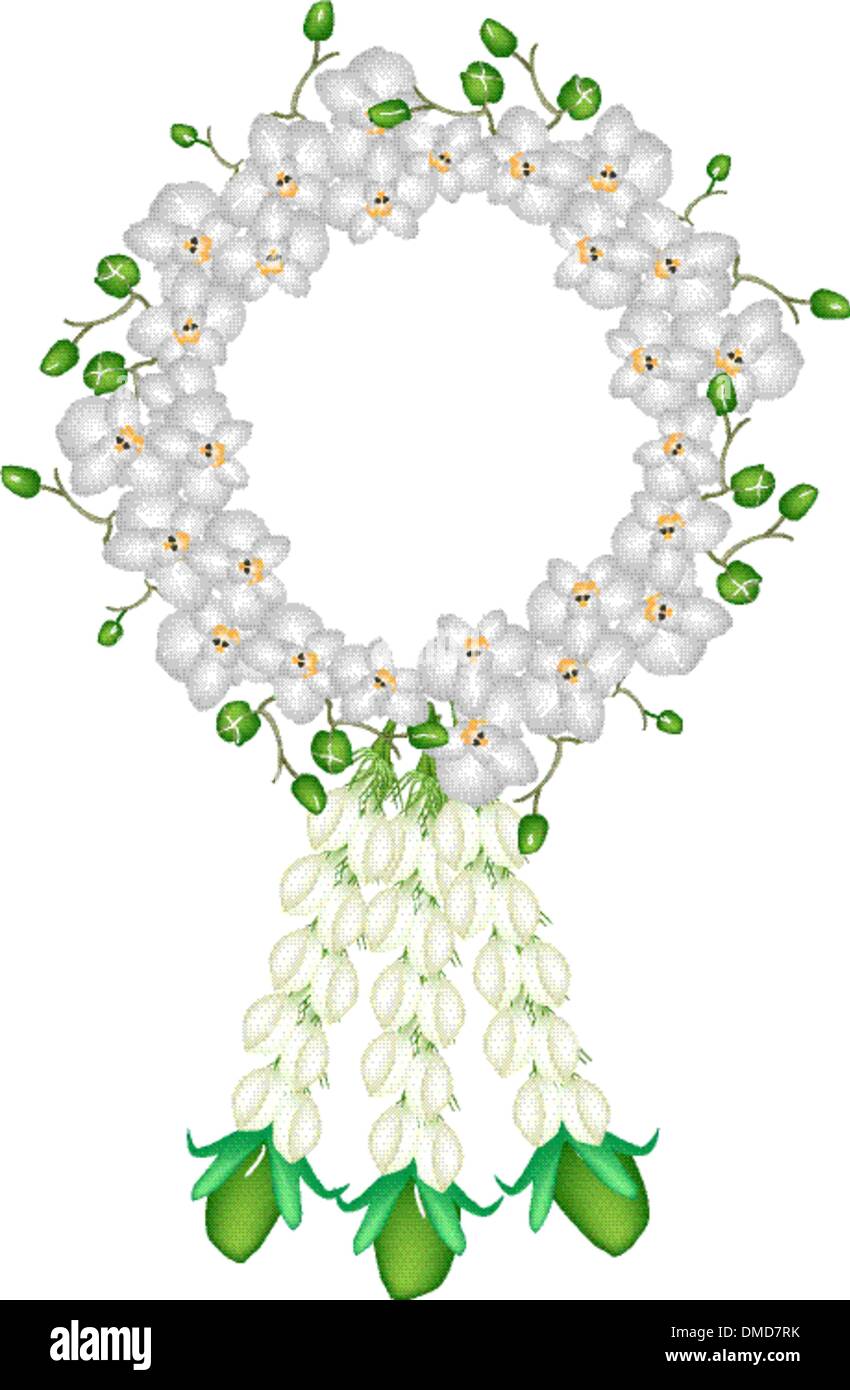 A Fresh White Colors of Moon Orchids Garland Stock Vector