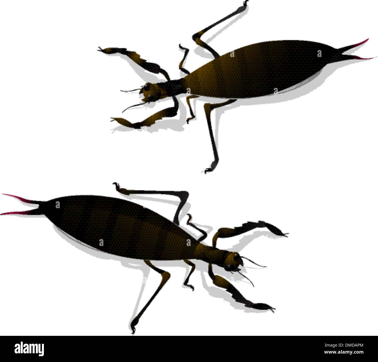 Two large insects Stock Vector