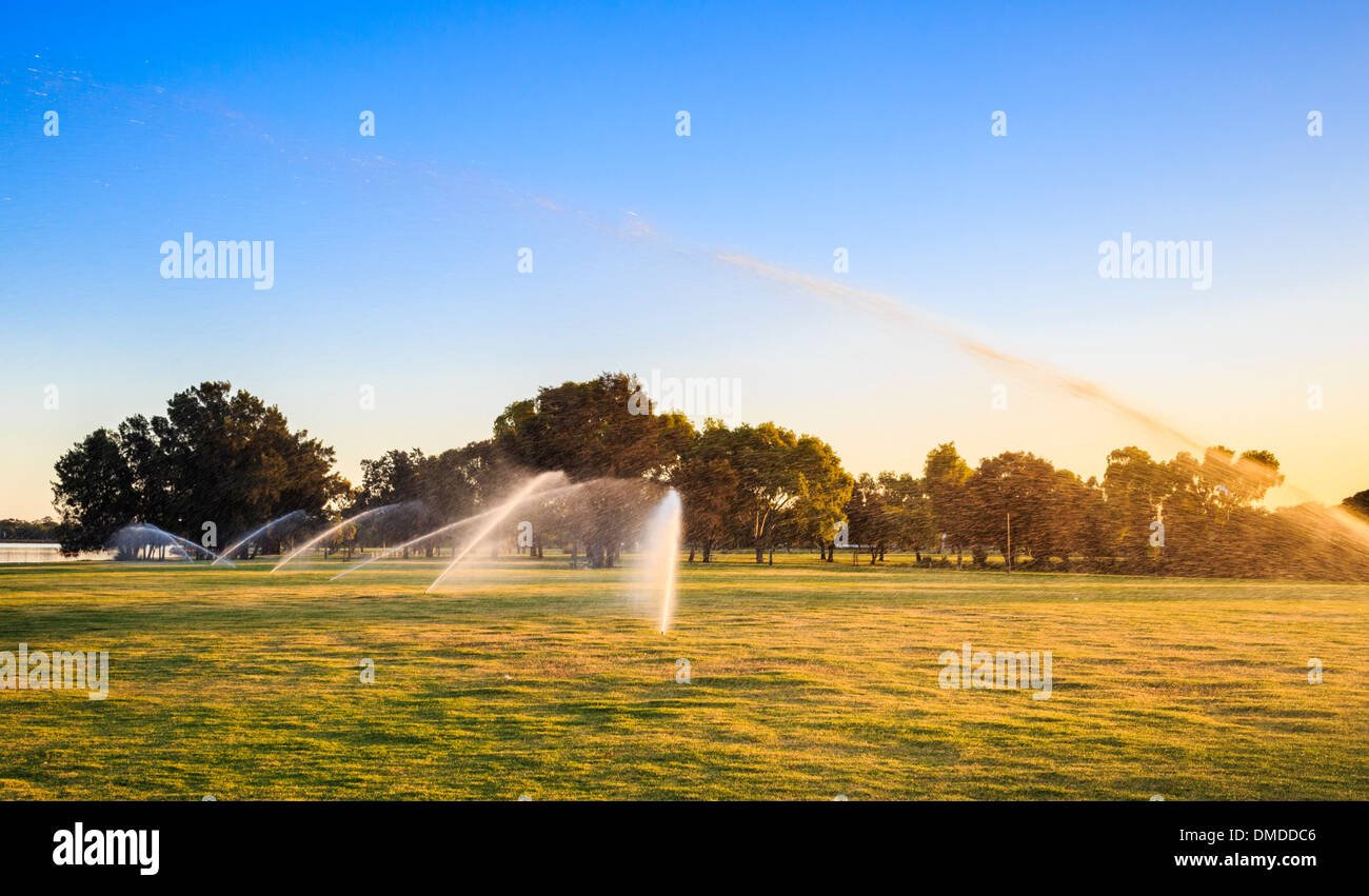 Sprinklers watering a park early on the morning on a summer day in Perth, Western Australia