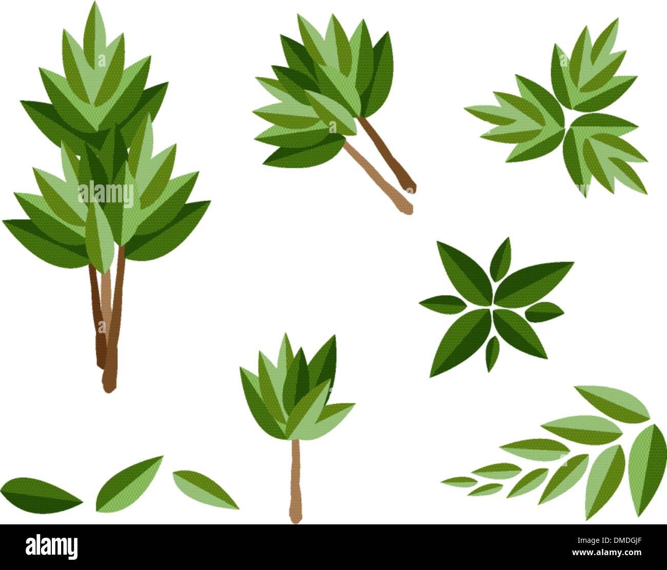 A Set of Isometric Evergreen Trees and Plants Stock Vector