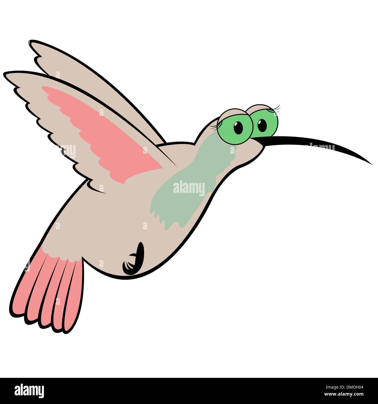 Hummingbird cartoon vector illustration hi-res stock photography and images  - Alamy