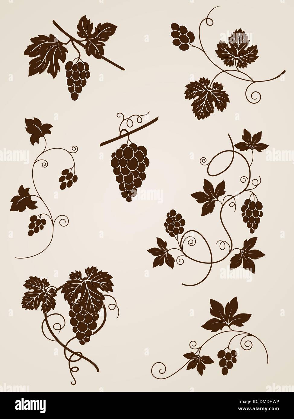 grape vine design elements Stock Vector