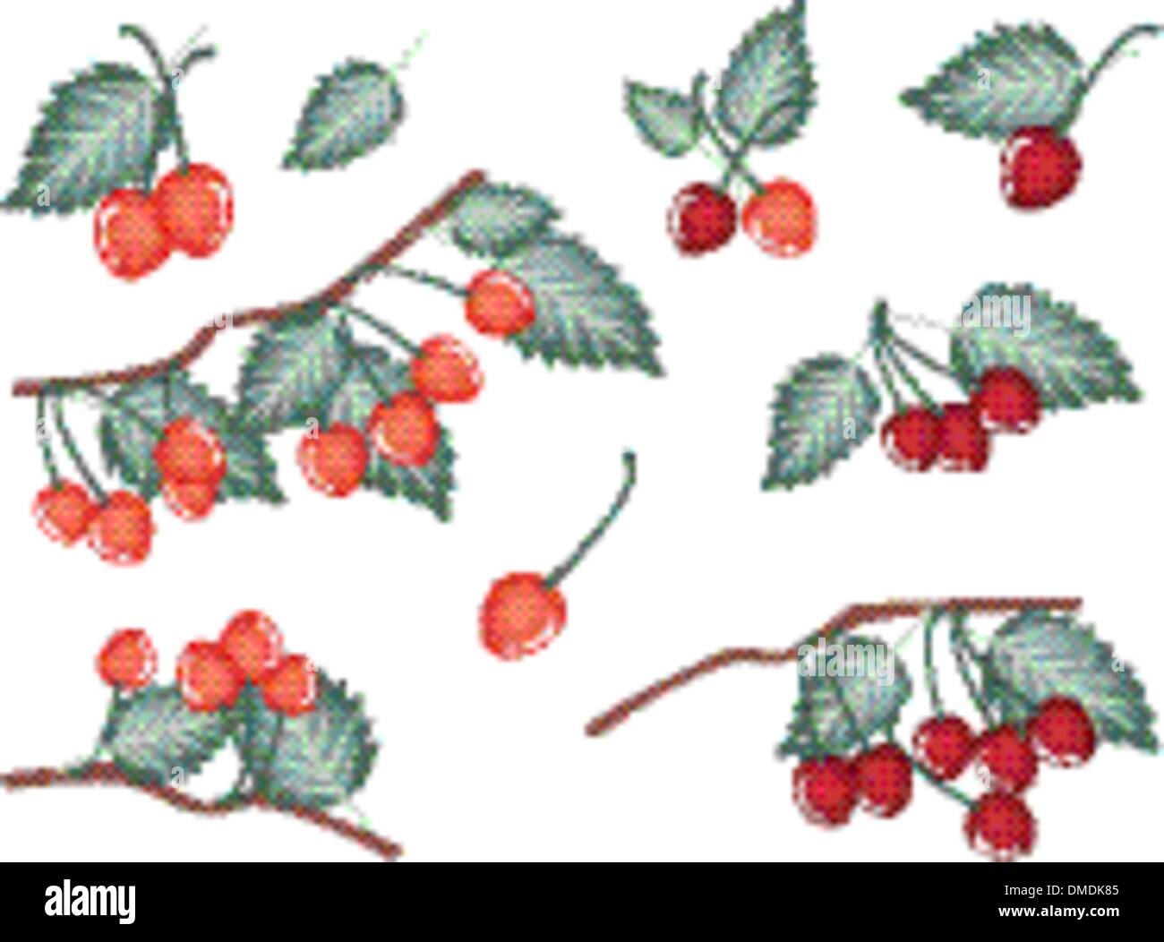 Set of Red Cherries on White Background Stock Vector