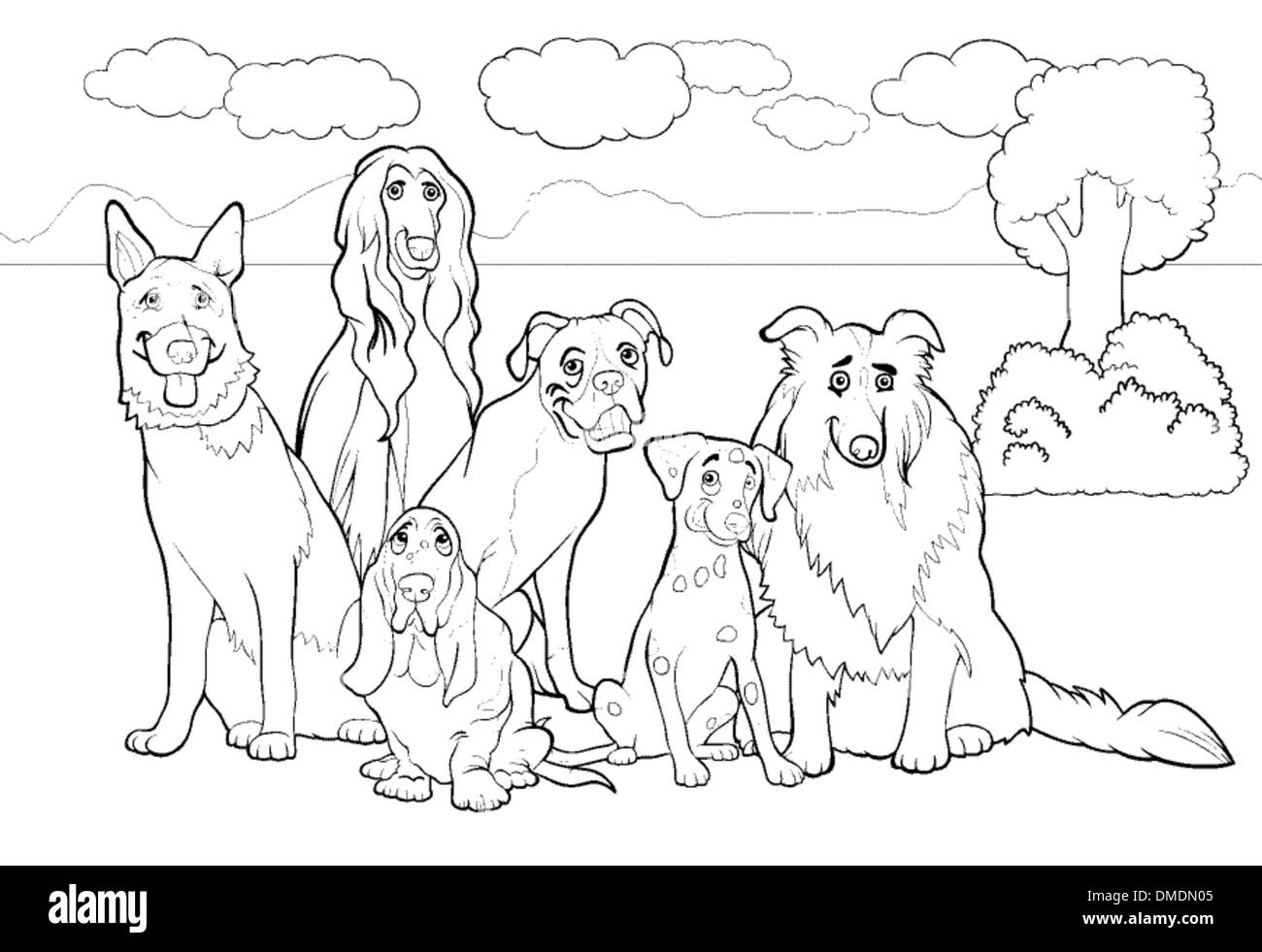 purebred dogs cartoon for coloring book Stock Vector Image & Art - Alamy