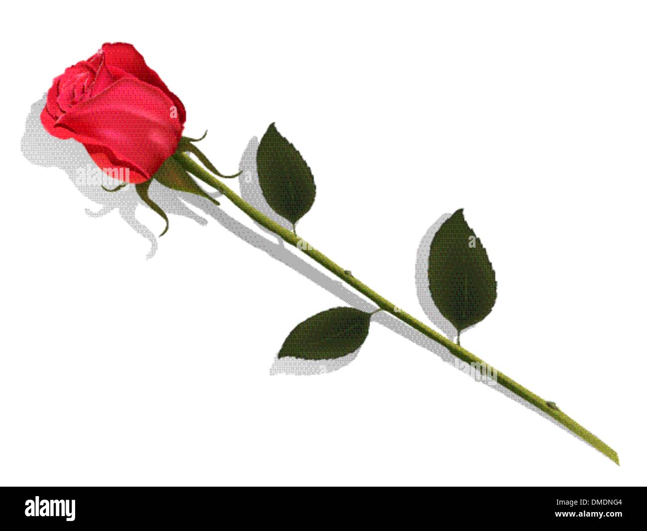 Rose sheet Stock Vector Images - Alamy