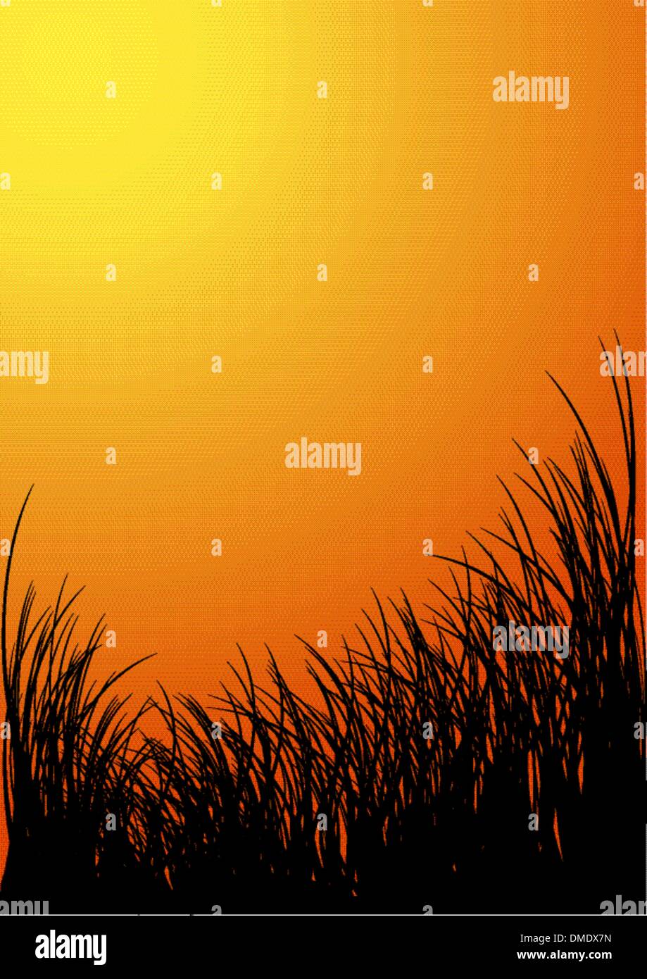 Vector grass silhouette background - sunset Stock Vector Image & Art ...
