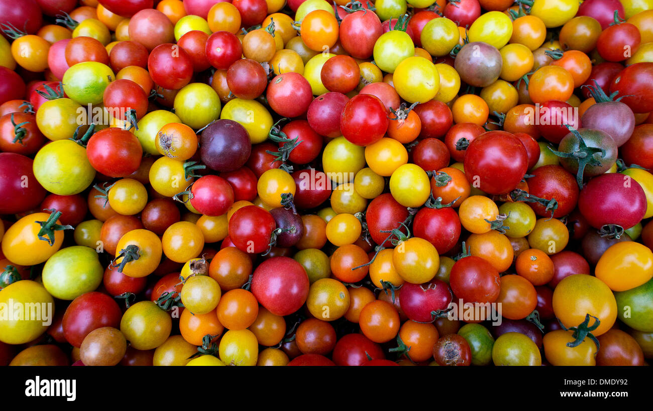 Farmers Market Produce: Cherry Tomatoes Stock Photo - Alamy