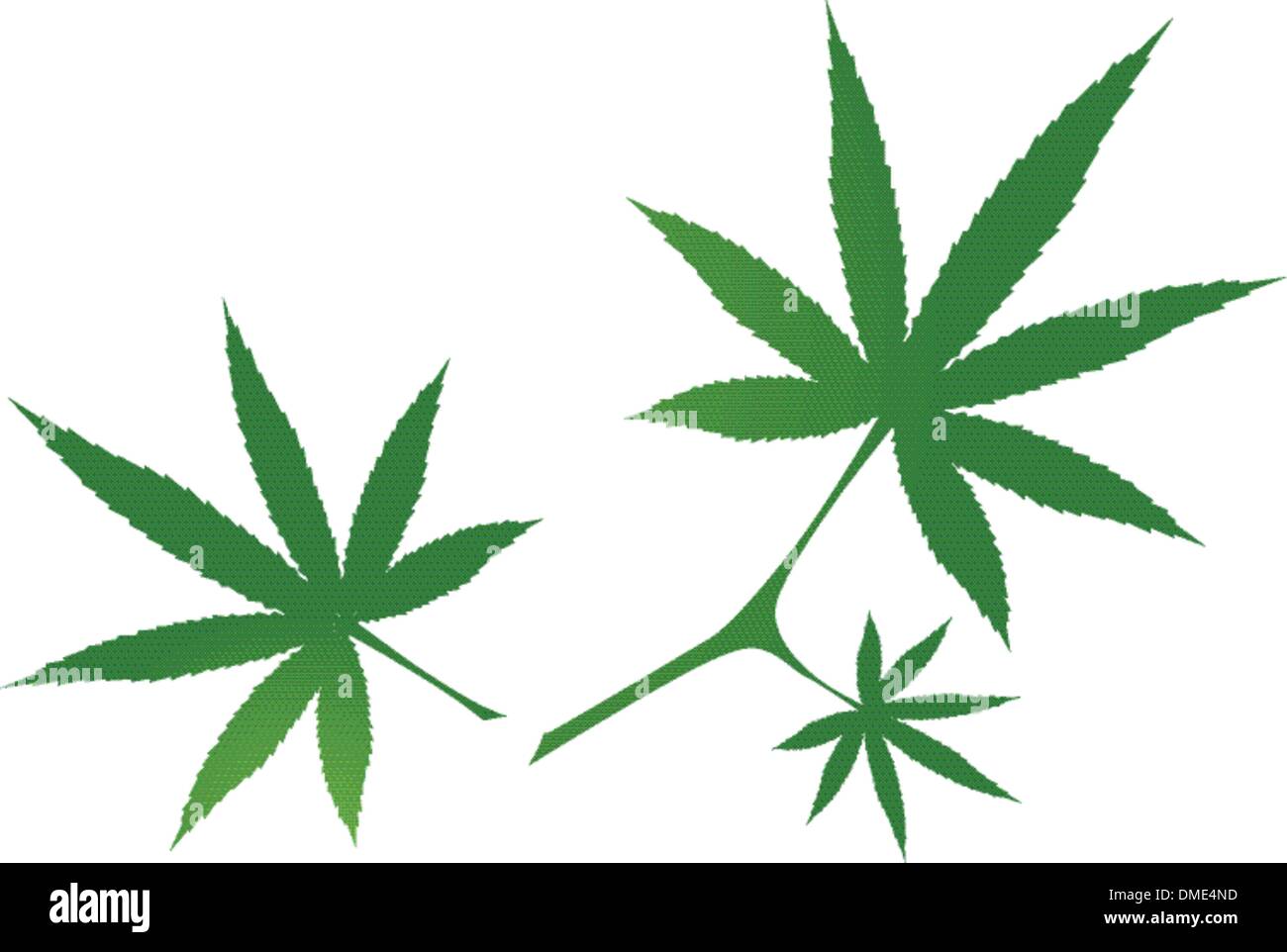 Cannabis Leaves Stock Vector