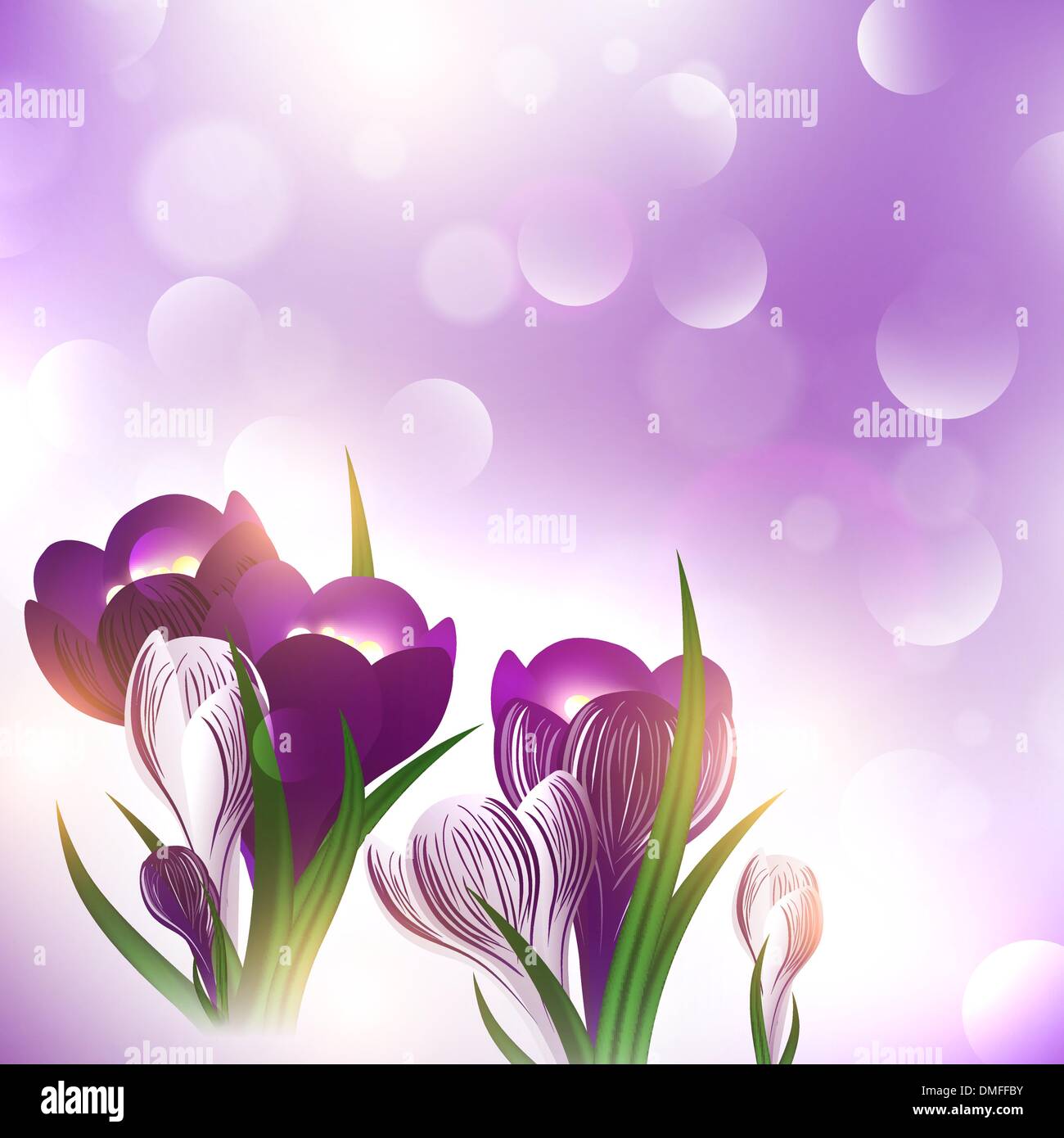 Crocus plant Stock Vector Images - Alamy