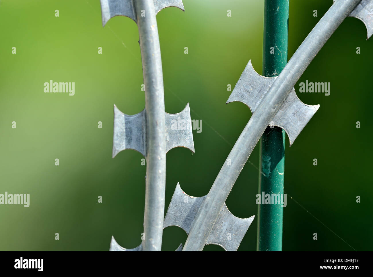 barbed and razor wire for security Stock Photo