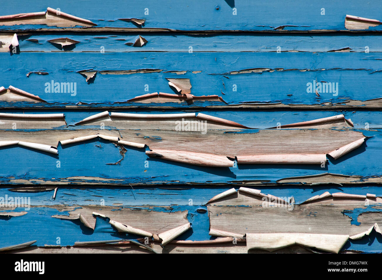 Old paint peeling off wood Stock Photo Alamy