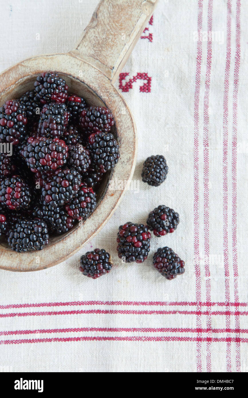 Blackberries Stock Photo