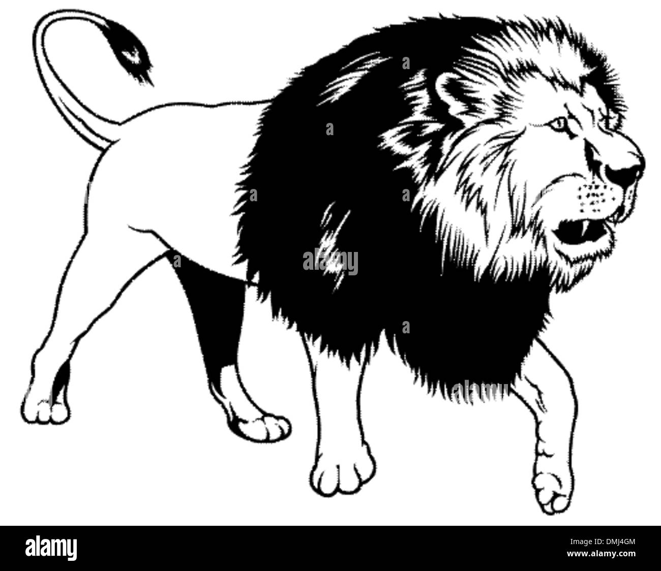 Lion clipart Black and White Stock Photos & Images - Alamy