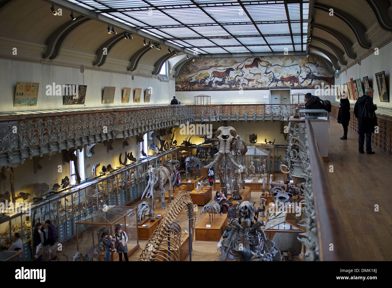 MUSEUM, GALLERY OF PALAEONTOLOGY AND COMPARATIVE ANATOMY, JARDIN DES PLANTES, PARIS (75) Stock Photo