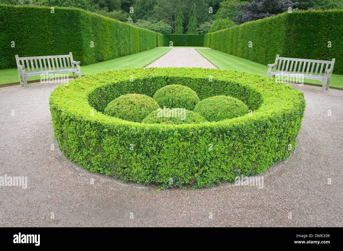 Garden seats and hedge at RHS Rosemoor Gardens, Devon, UK. Stock Photo