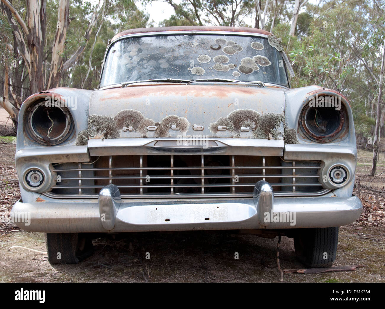 old holden FJ car which has been left on farm land and beaten up Stock Photo