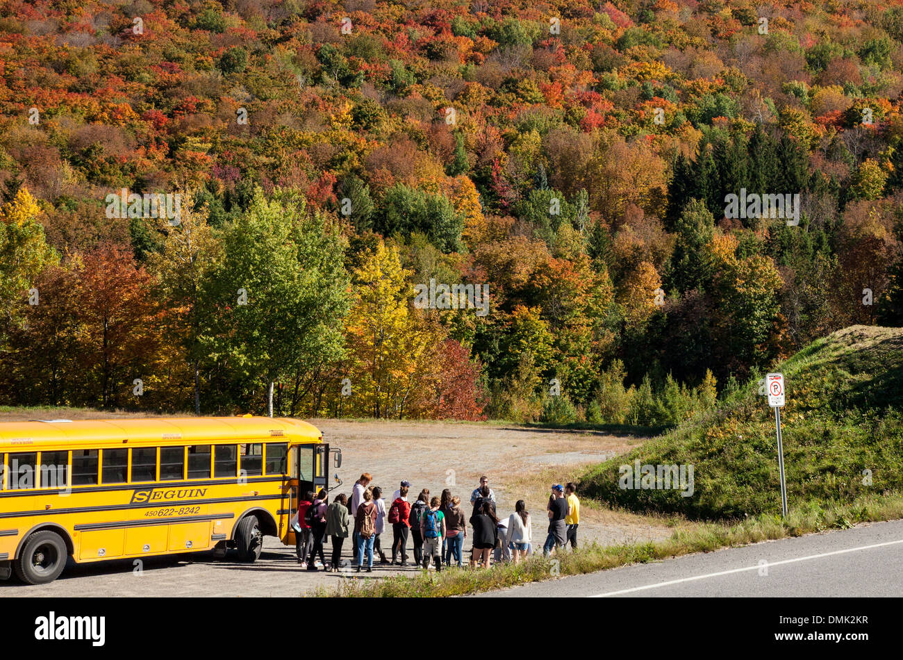BUS OF TOURISTS ARRIVING AT MOUNT SUTTON, INDIAN SUMMER, AUTUMN COLORS, EASTERN CANTONS, ESTRIE, QUEBEC, CANADA Stock Photo