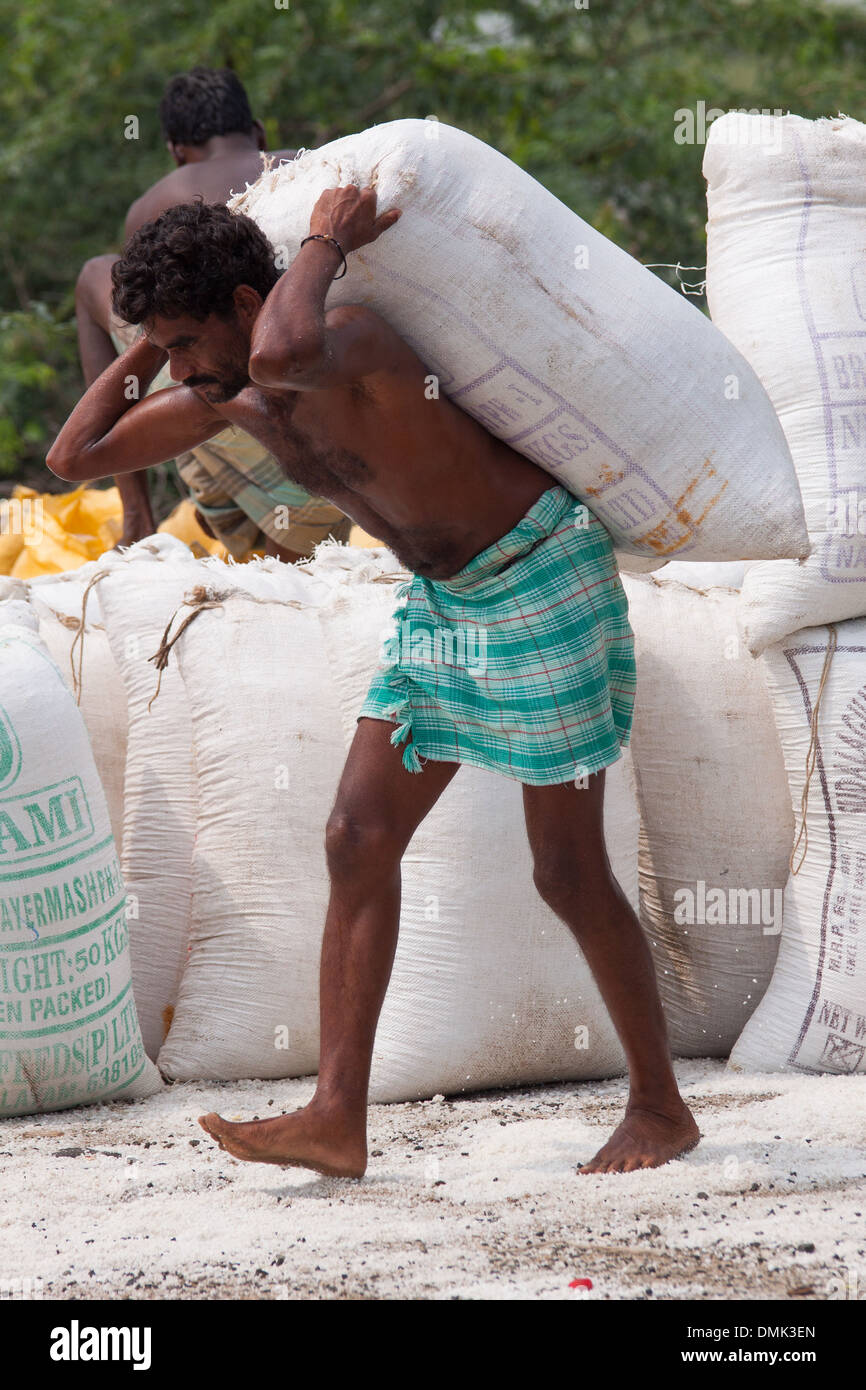INDIAN WORKER WORKING IN A SALT MARSH AND TRANSPORTING A HEAVY SACK OF SALT ON HIS SHOULDERS, REGION OF MAHABALIPURAM, STATE OF TAMIL NADU, IINDIA Stock Photo