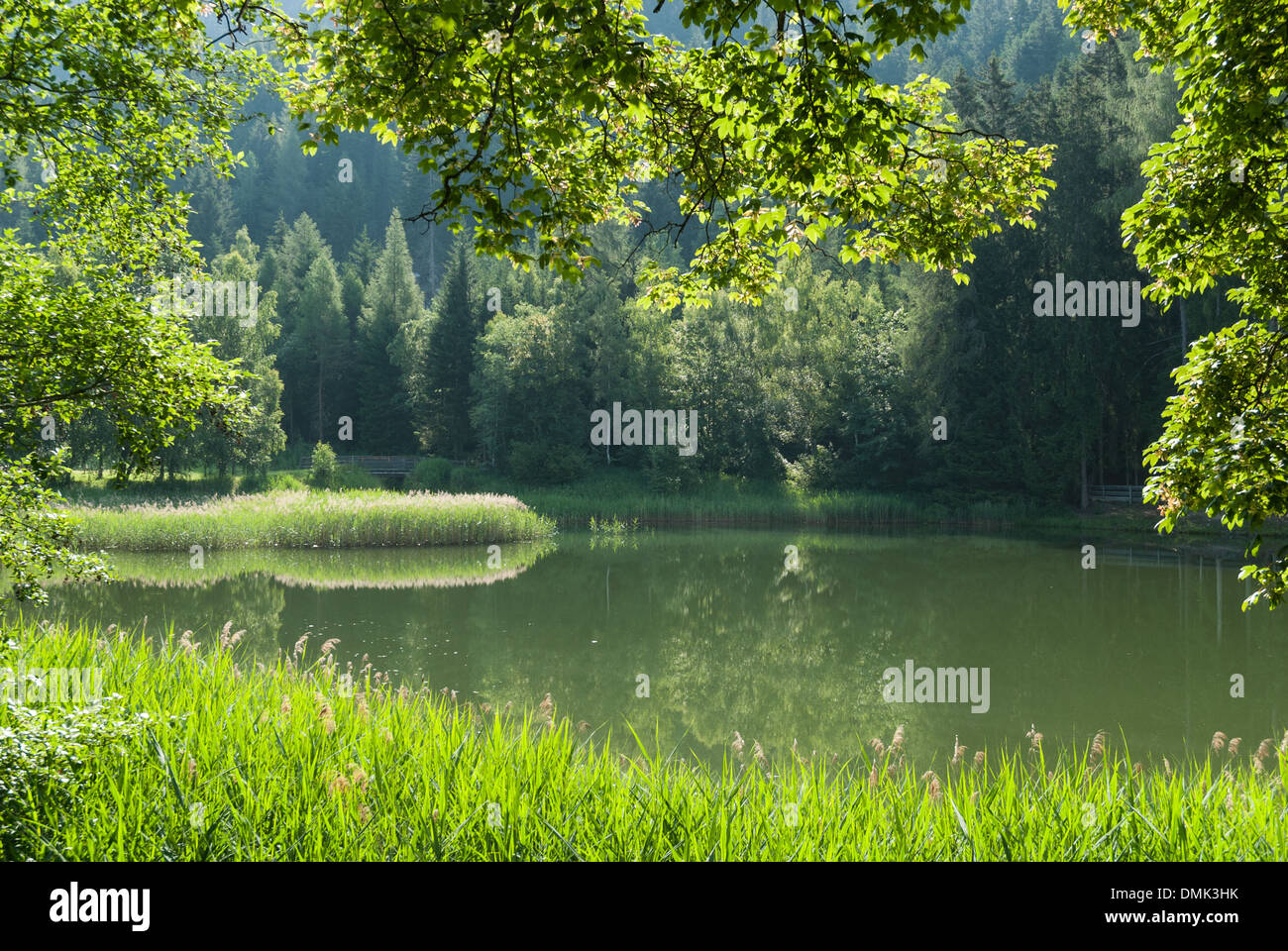 The force Lake at the Bildungshaus St. Michael in Pfons Stock Photo