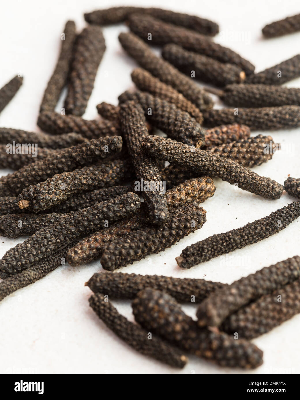 Long pepper (Piper longum Stock Photo Alamy