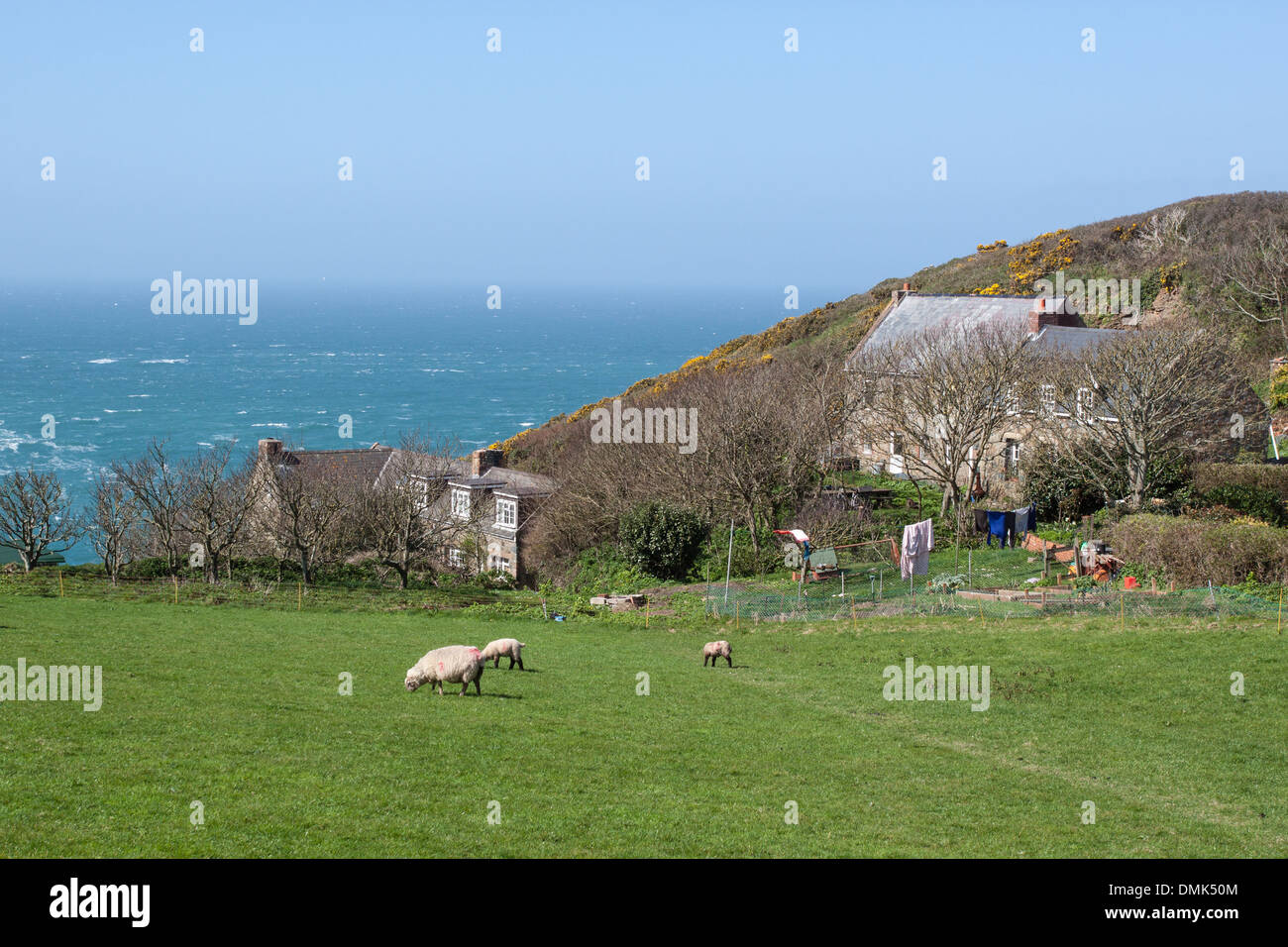 SARK COUNTRYSIDE BY THE SEA, ISLAND OF SARK, CHANNEL ISLANDS Stock Photo