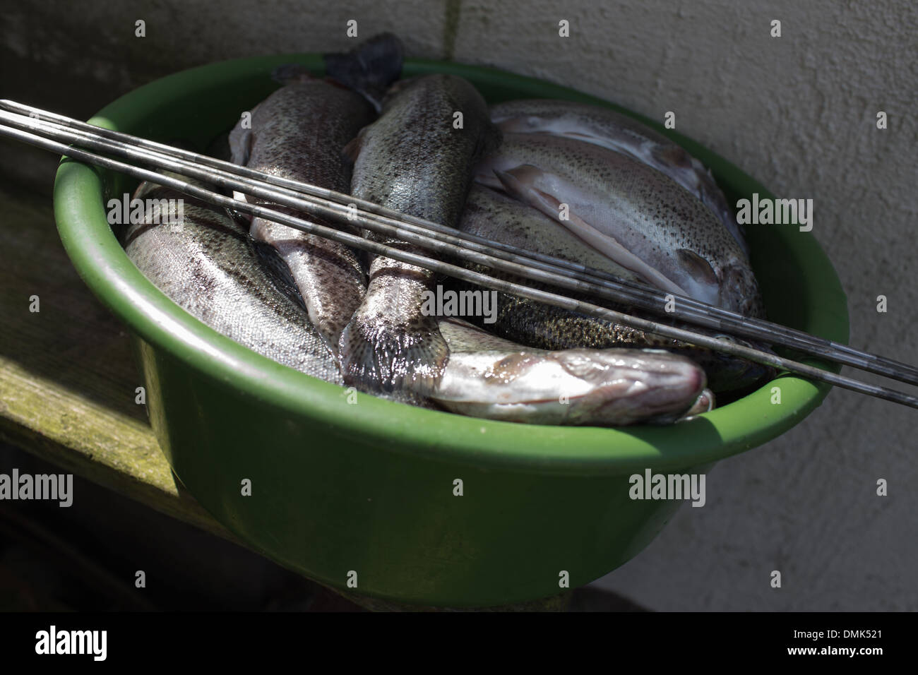 Preparation smoked trout in Polish cuisine conditions. Stock Photo