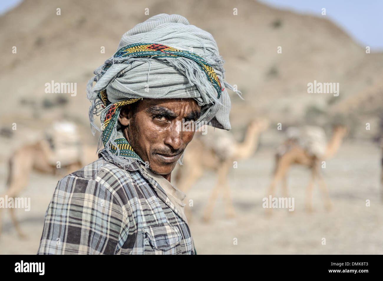 Portrait of an Afar man with his camels, Berhale, Ethiopia, Africa Stock Photo