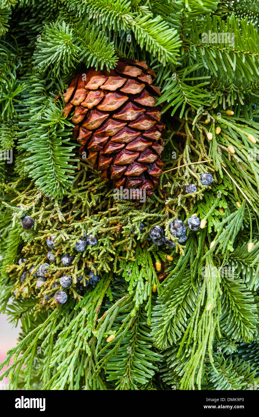 Evergreen boughs hi-res stock photography and images - Alamy