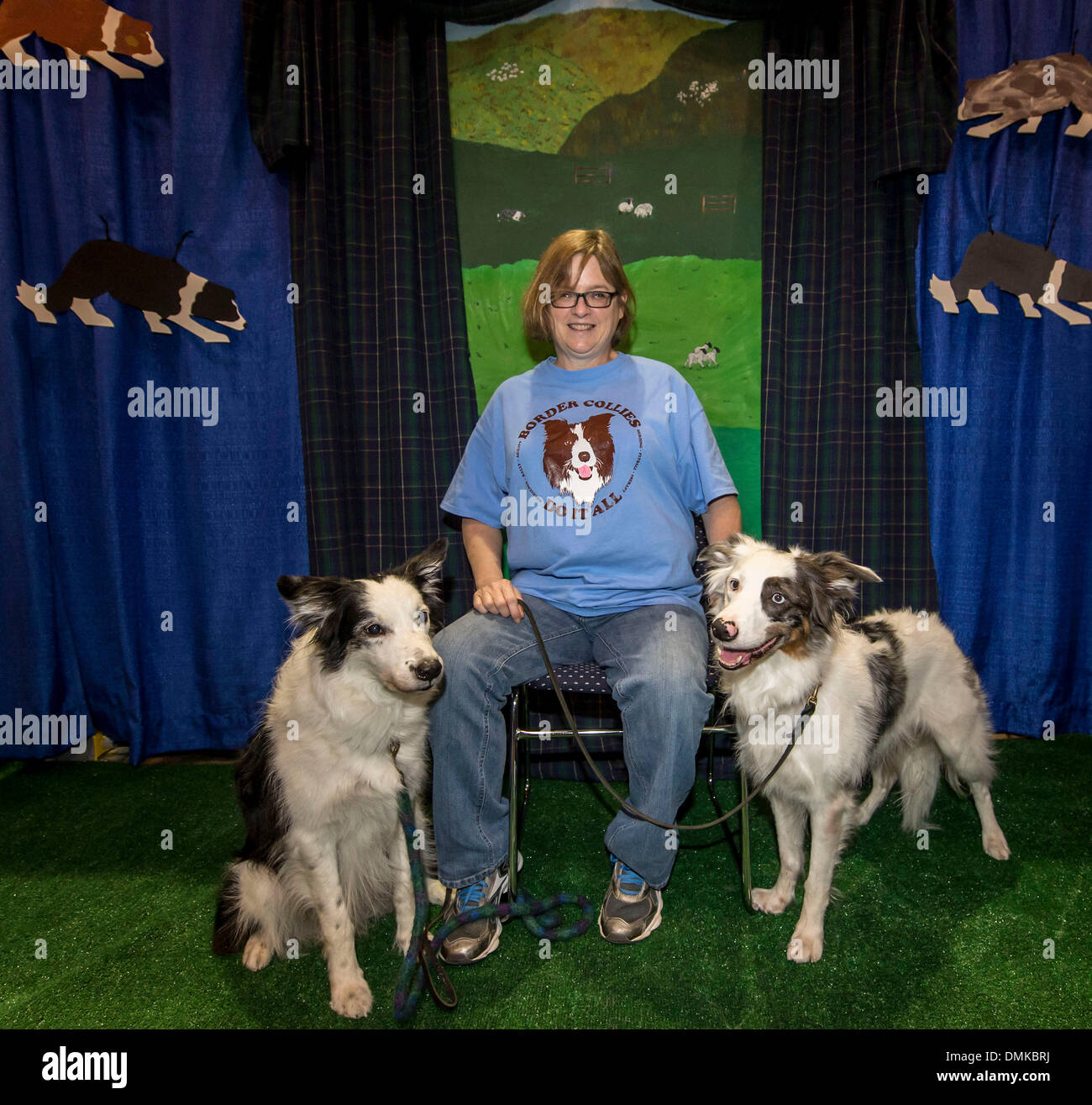 Eukanuba border clearance collie