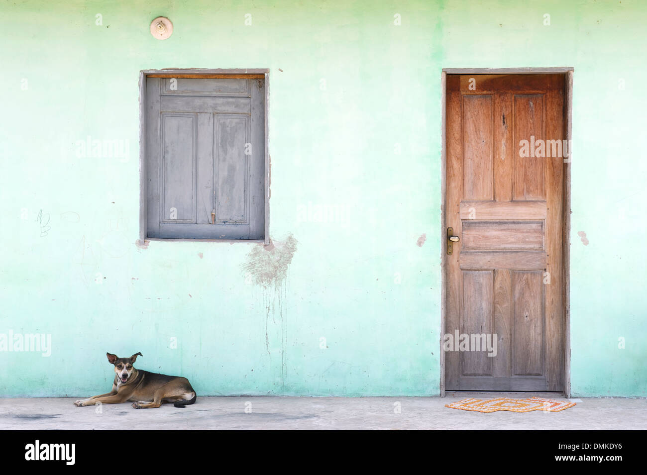 Brazilian dog lying on sidewalk in front of typical simple tropical village home in Nordeste Brazil Stock Photo
