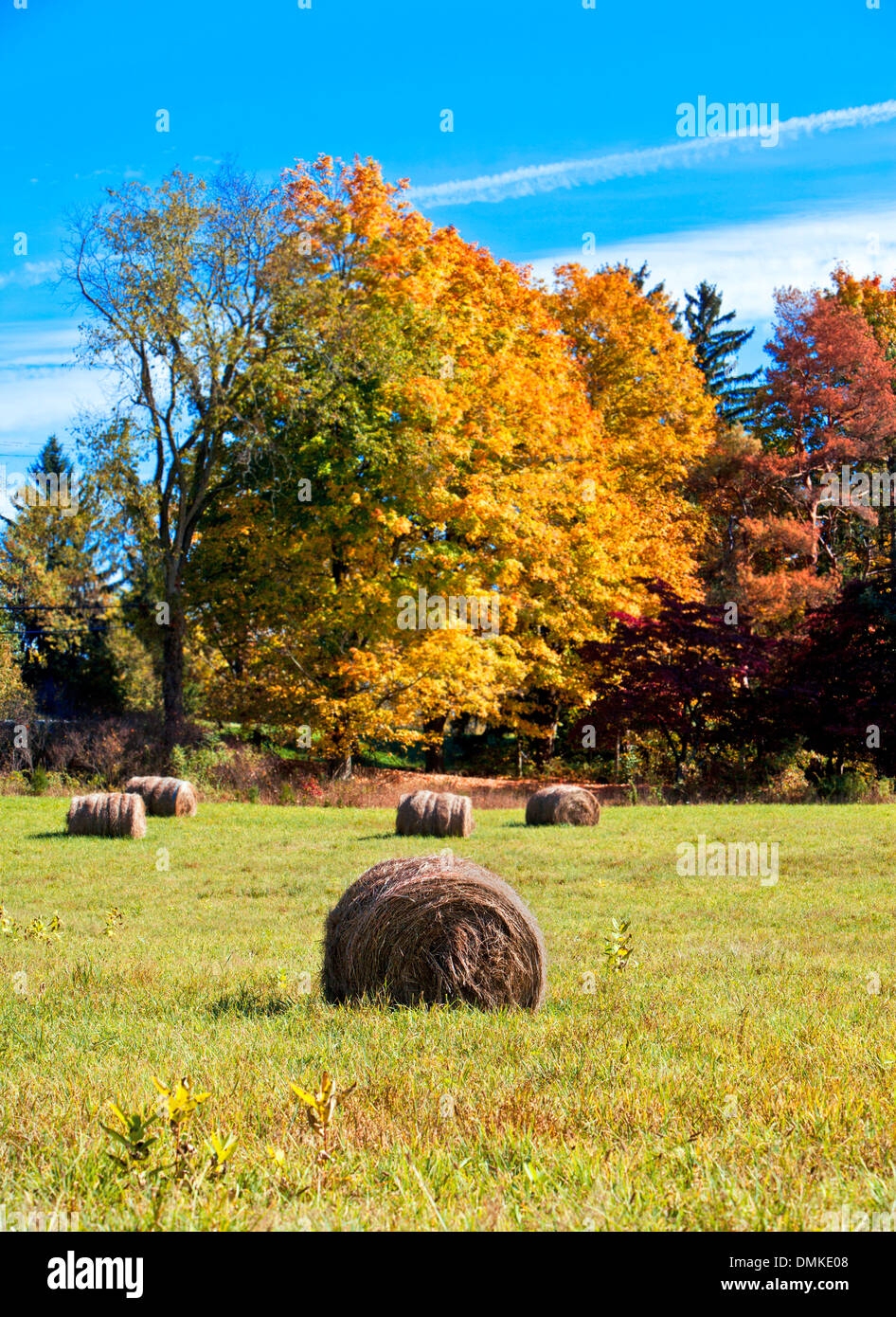 hay bales on farm during the Fall Stock Photo