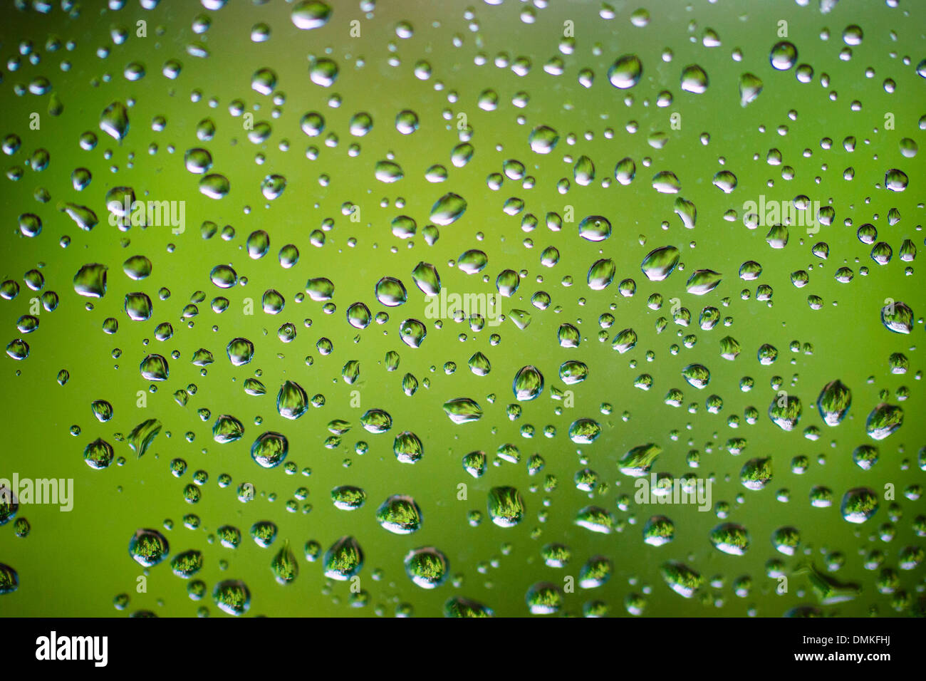 Drops of water on window after a spring shower on green foliage background. Stock Photo