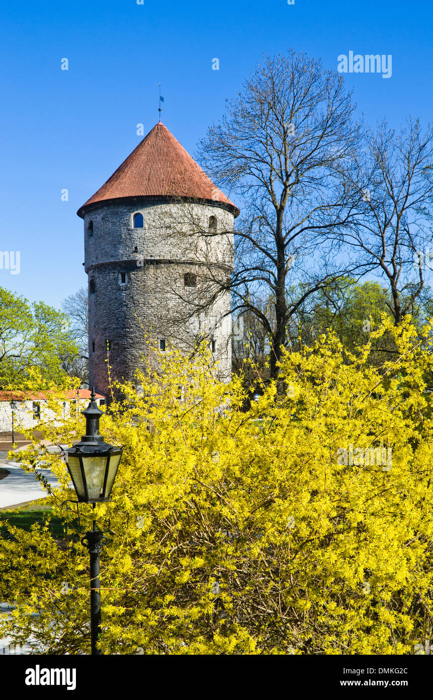 Spring in park of Tallinn Stock Photo