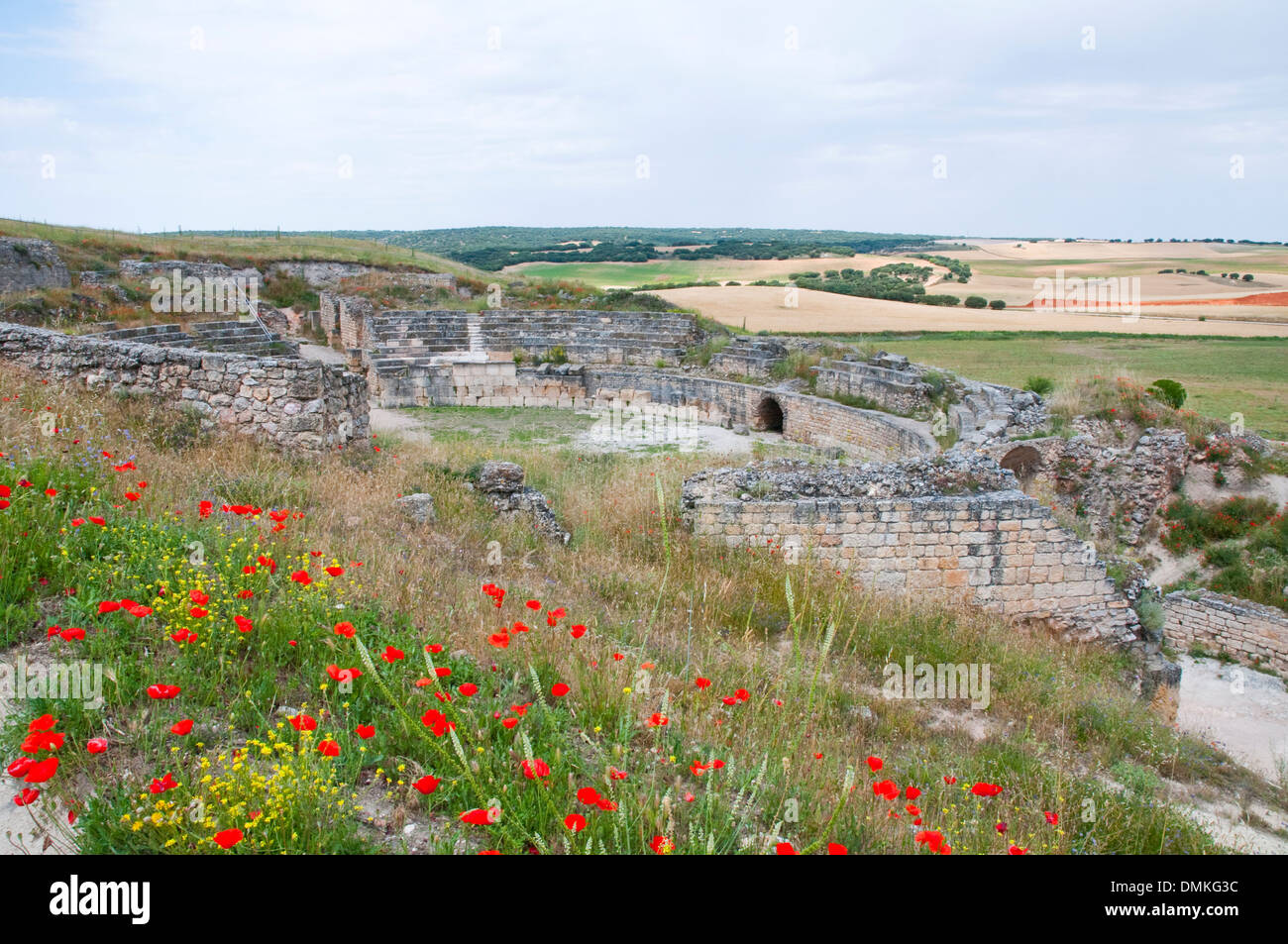 Ruins of the Roman amphitheater. Segobriga Archaeological Park, Cuenca province, Castilla La Mancha, Spain. Stock Photo