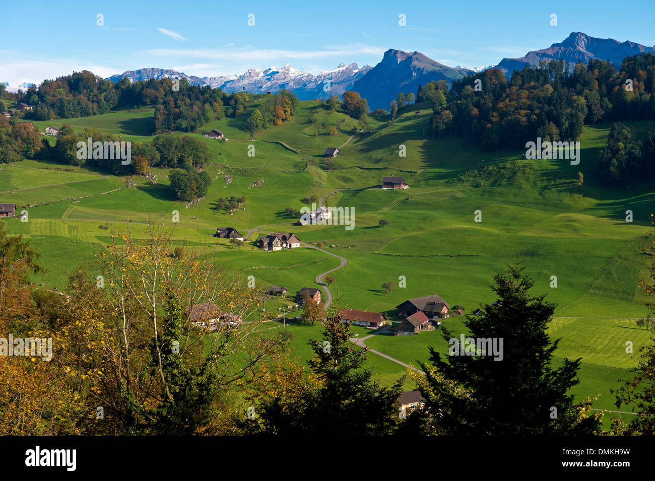 Hamlet Moos, Obbuergen, surrounded by green meadows, canton of Nidwalden, Switzerland Stock Photo