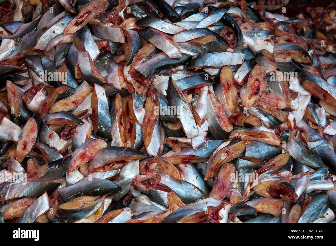 Chops of fresh fish on the fish market, Battambang, Cambodia Stock Photo