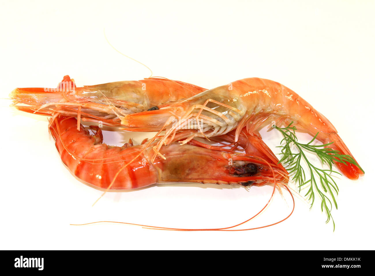 Tiger shrimp hi-res stock photography and images - Alamy