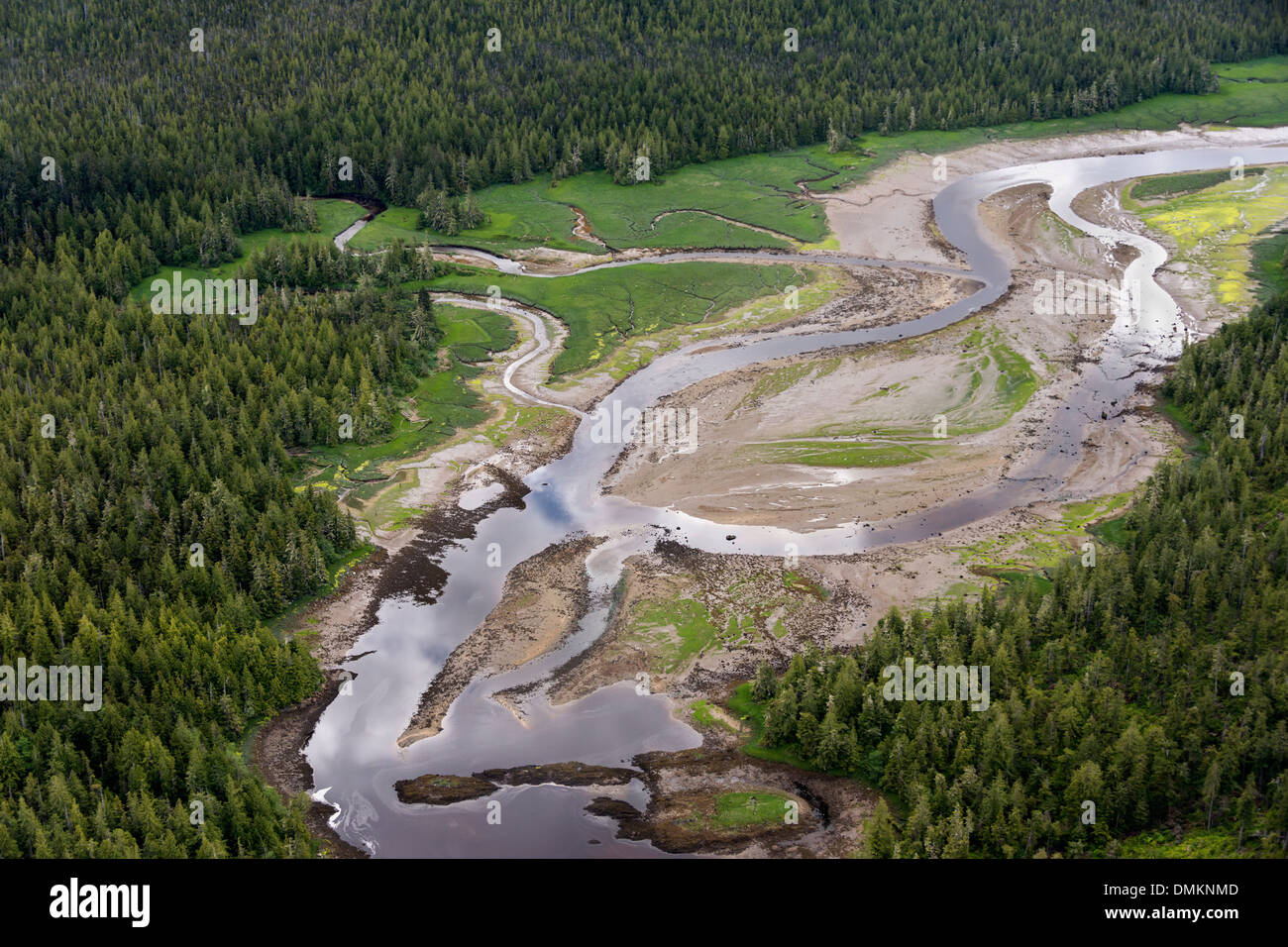 Braided river on South Chatham Sound, opposite Kennedy Island, mid-coast British Columbia Stock Photo