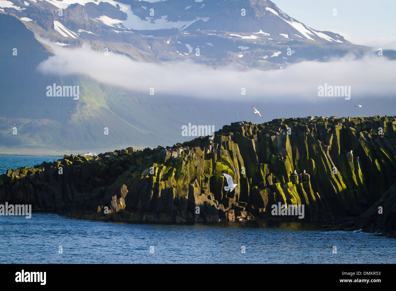 MELRAKKAEY ISLAND, PROTECTED SITE AT THE MOUTH OF THE GRUNDAFJORDUR BAY, A VERITABLE PARADISE FOR MARINE BIRDS, WITH MOUNT KIRKJUFELL IN THE BACKGROUND, GRUNDARFJORDUR, SNAEFELLSNES PENINSULA, WESTERN ICELAND, EUROPE Stock Photo