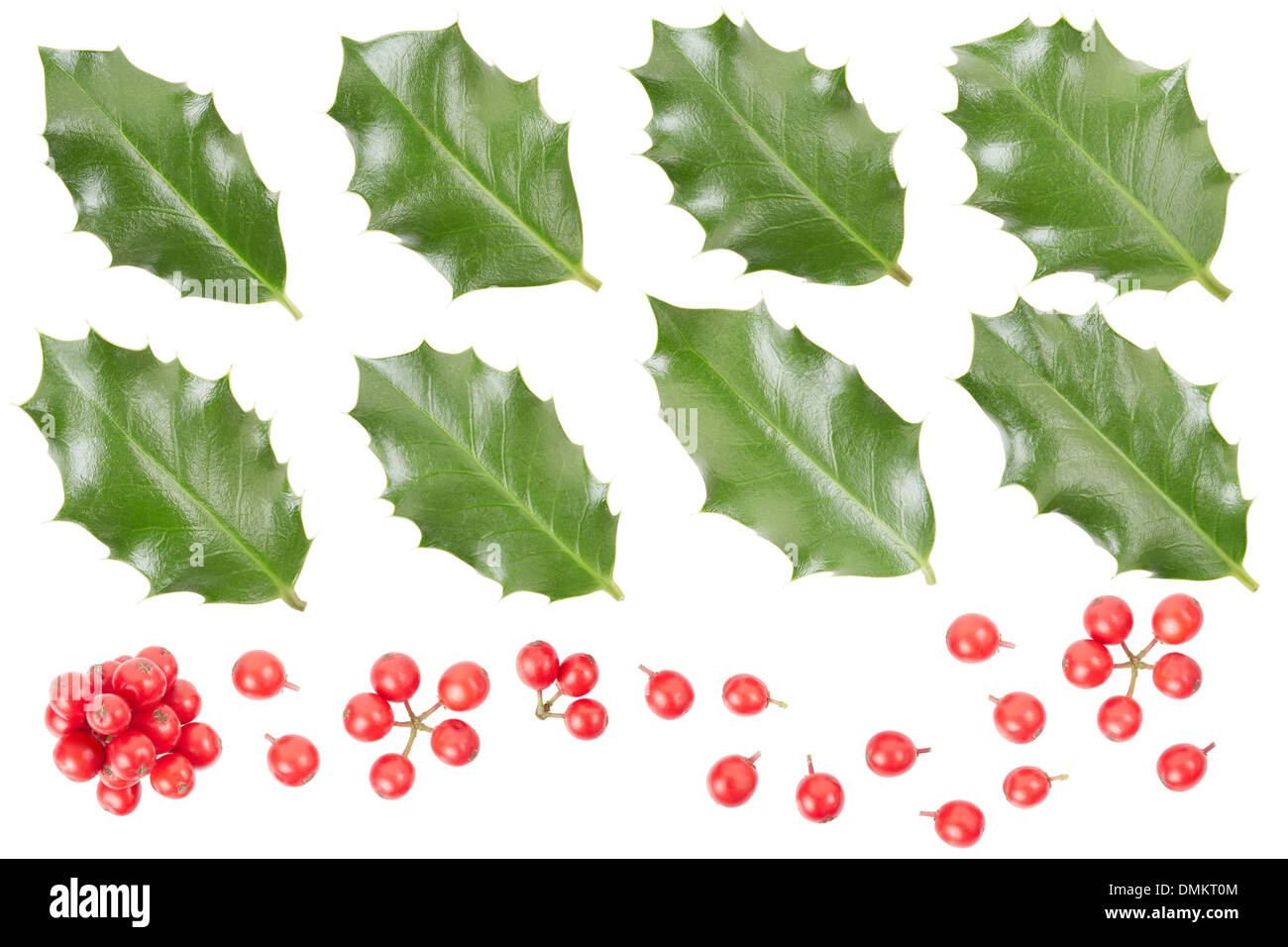 Holly leaves and berries collection isolated on white, clipping path included Stock Photo