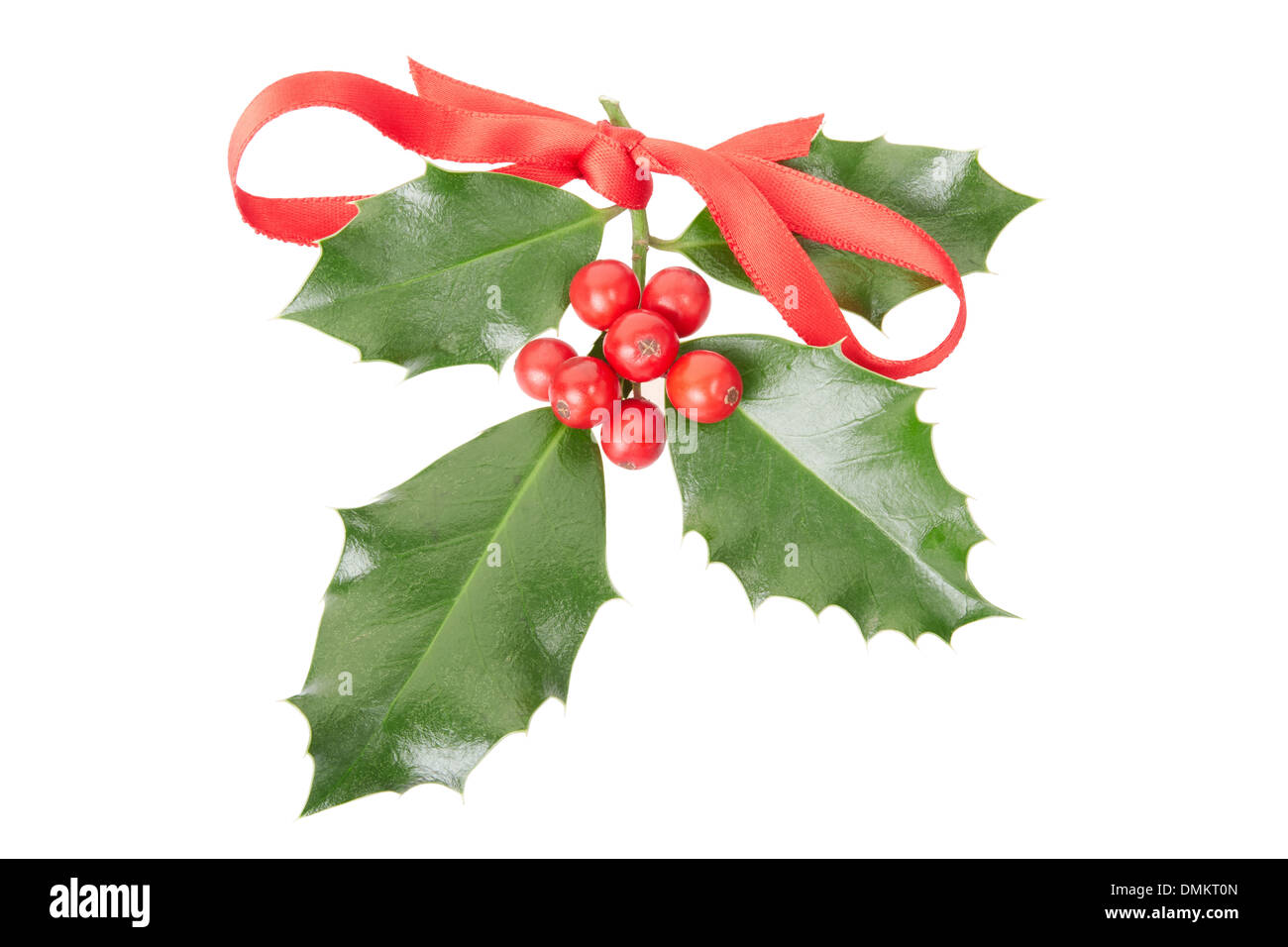 Holly with red ribbon, Christmas decoration Stock Photo