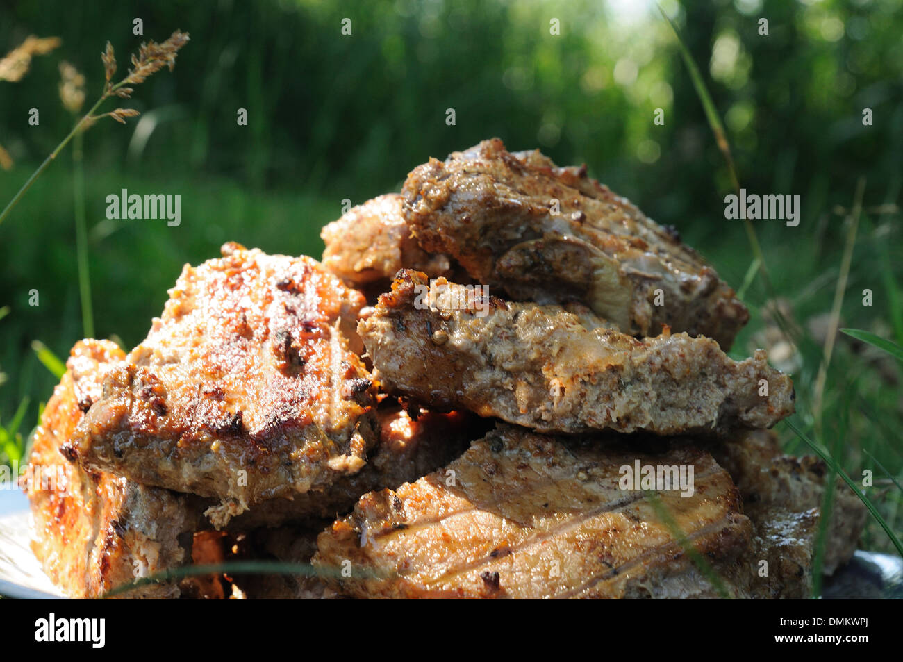 barbeque bits on grass background Stock Photo