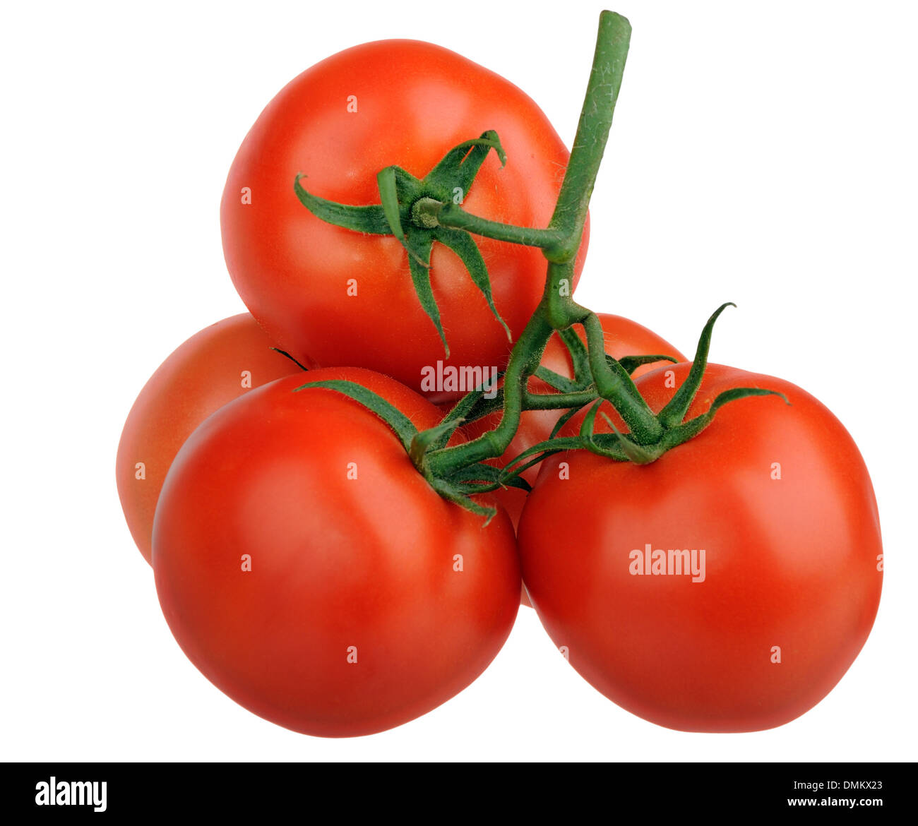 Branch of ripe red tomatoes isolated Stock Photo - Alamy